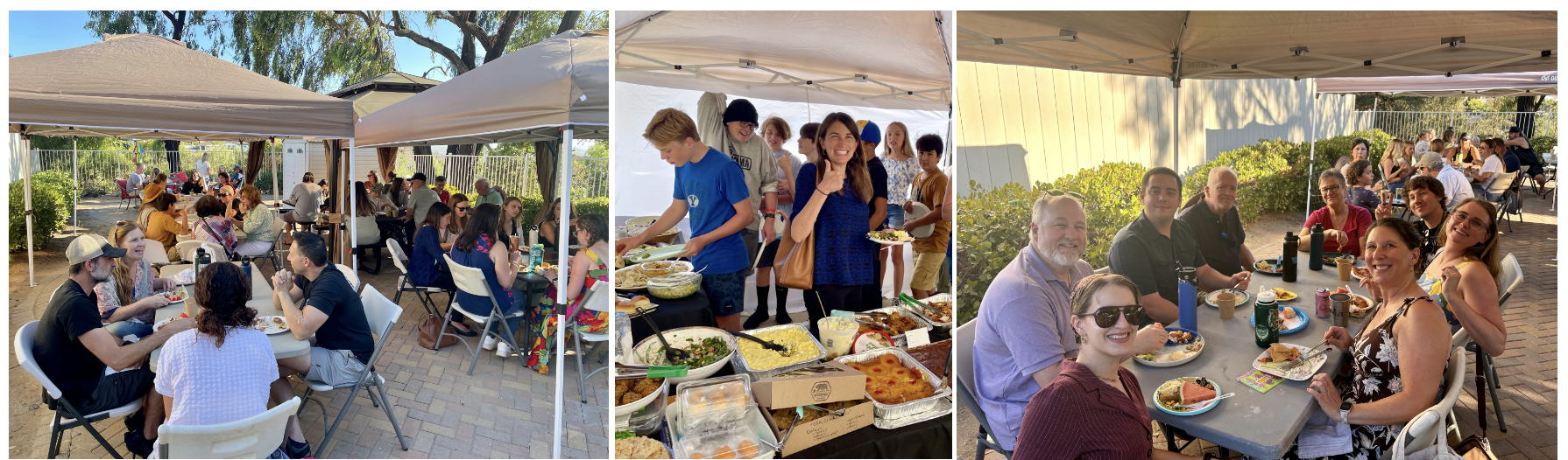 OSA Picnic
